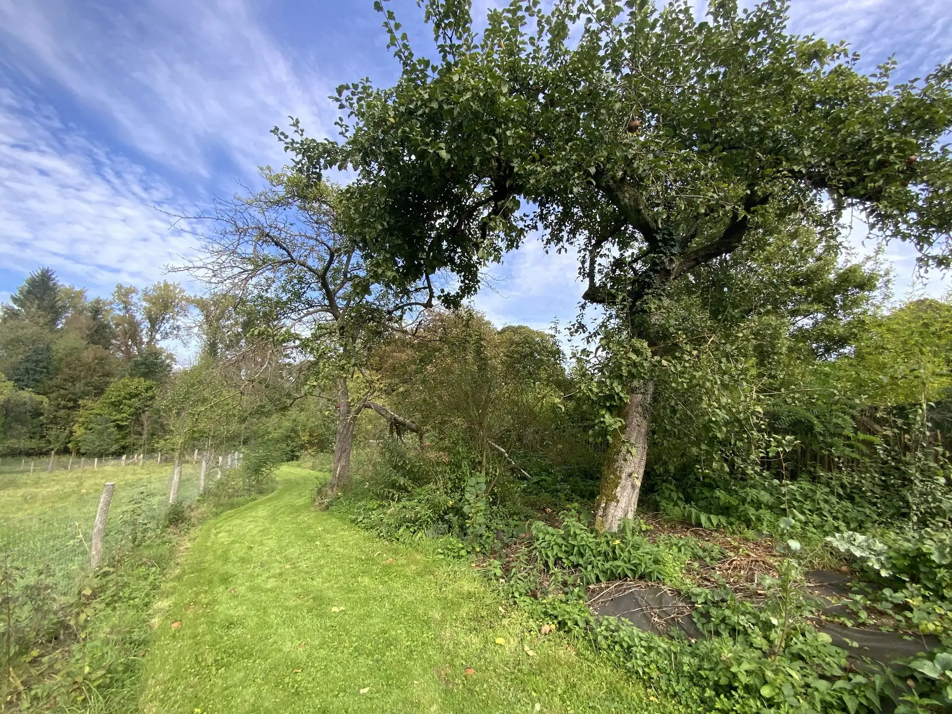 Le sentier comestible de Manu — photo 5