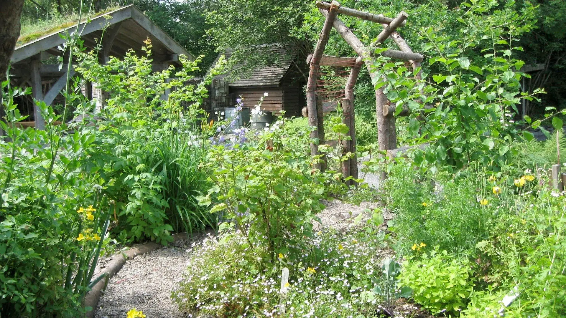 Image : À la découverte des jardins-forêts