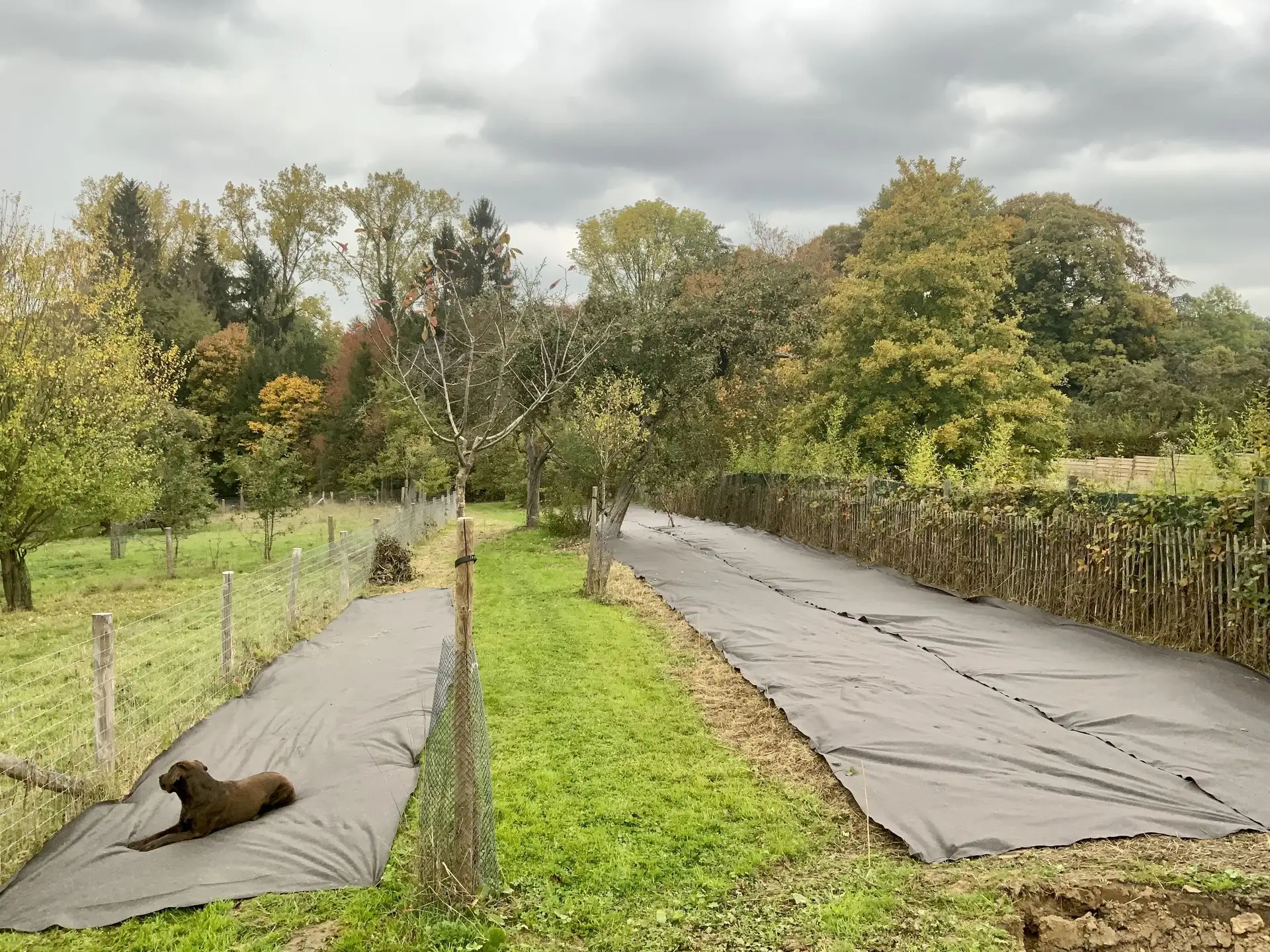Le sentier comestible de Manu — photo 1