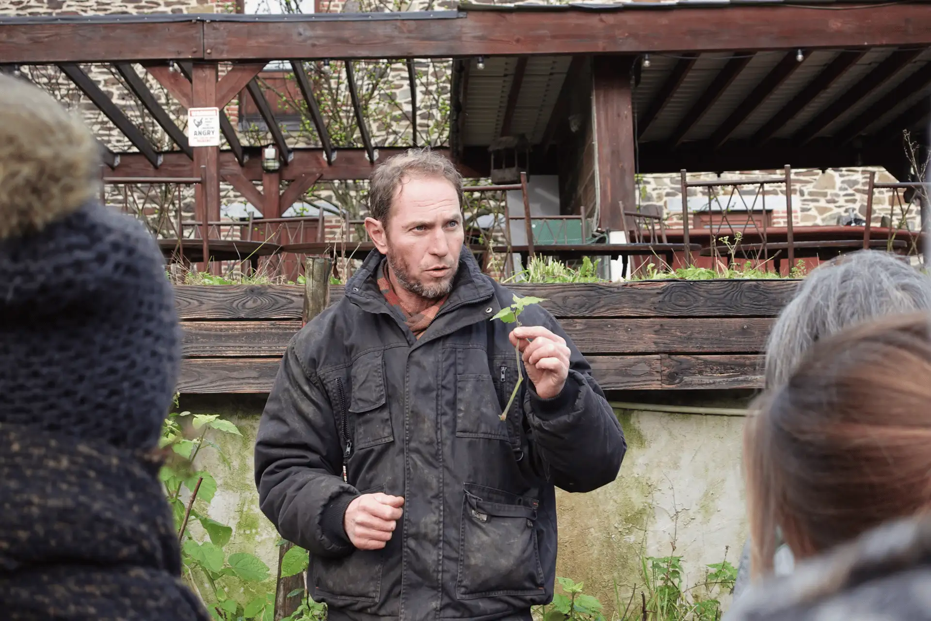 Image : Taille d'arbres et arbustes fruitiers avec Michael Dossin