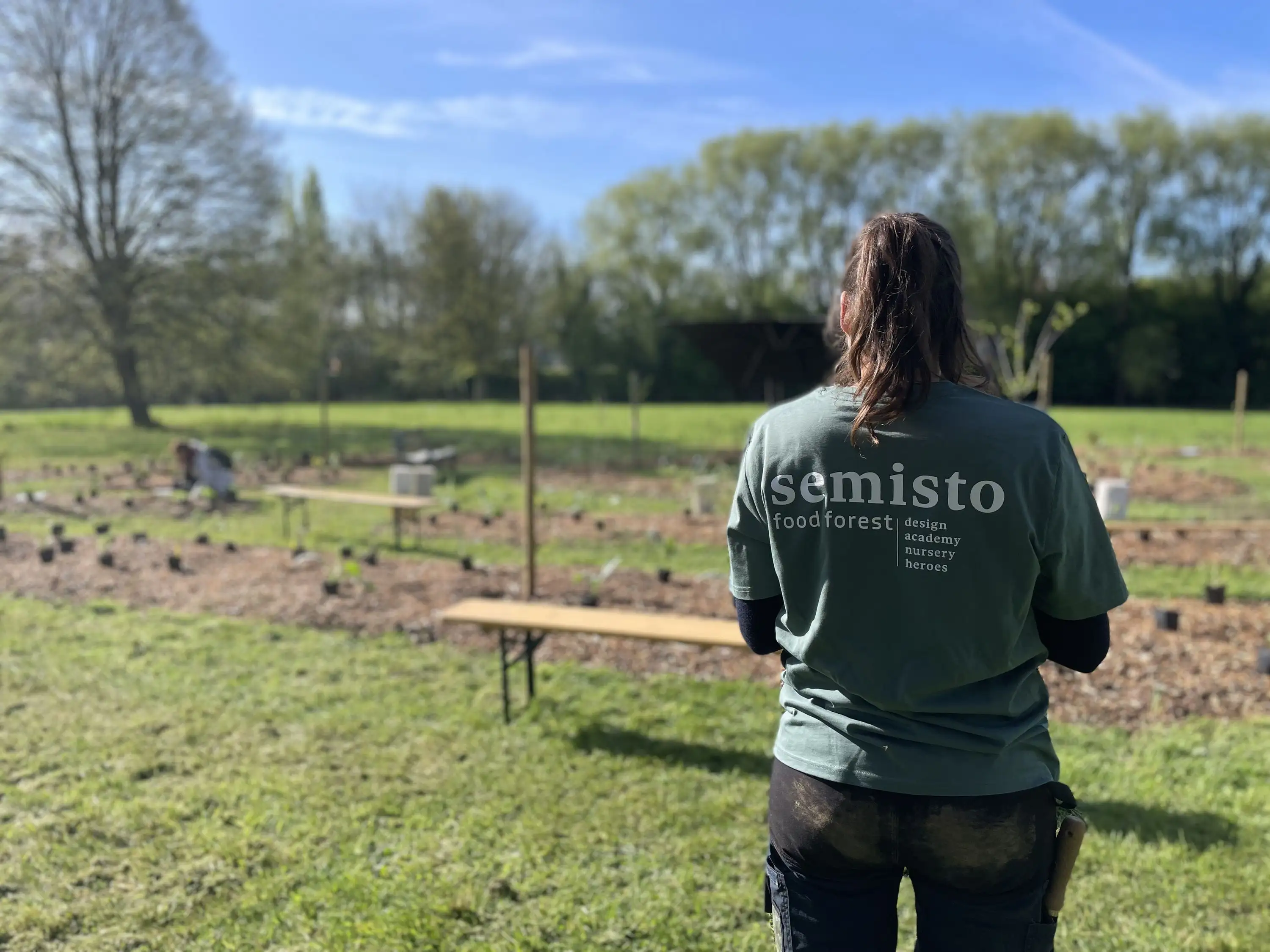 Membre de l'équipe Semisto observant un chantier de plantation de jardin-forêt