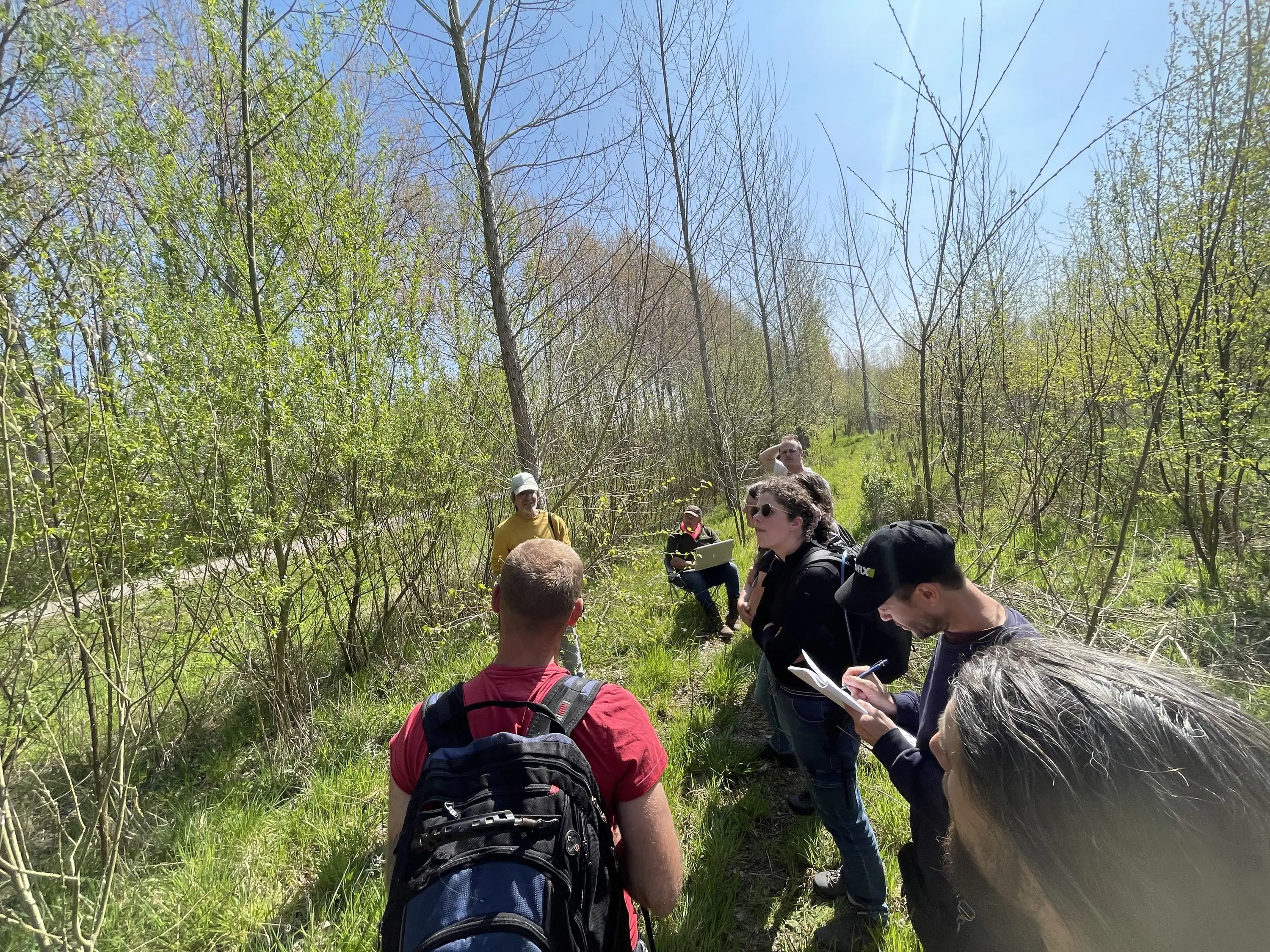 Visite guidée entre les jeunes rangées d'arbres du voedselbos de Schijndel