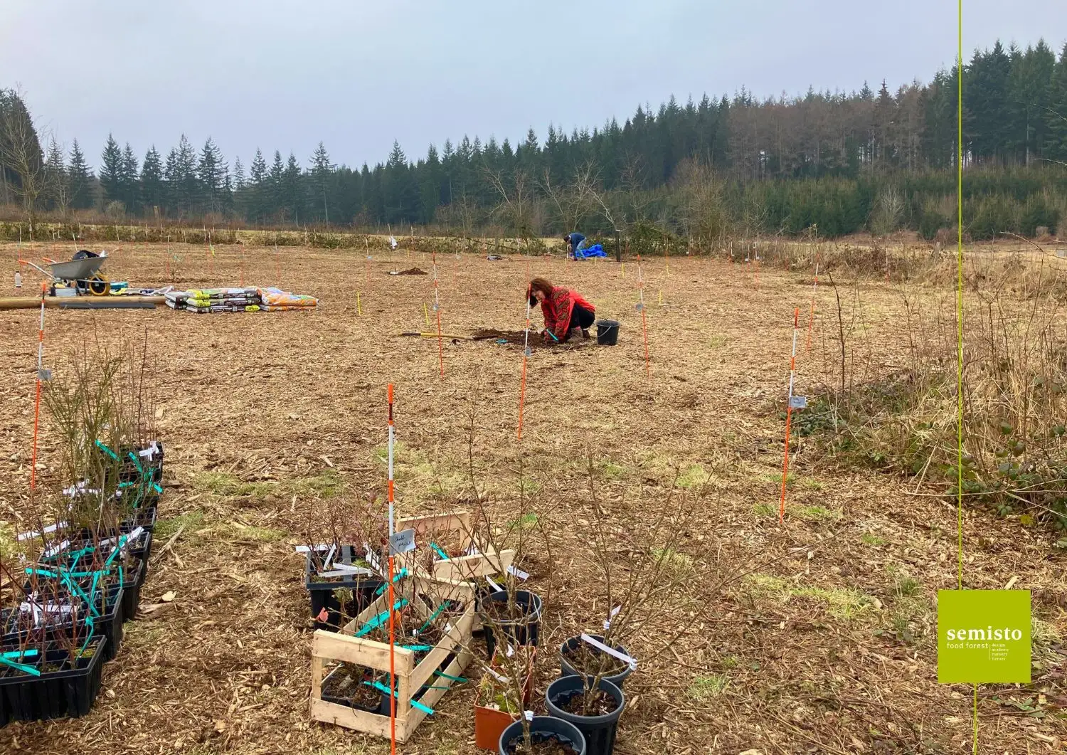 Réalisation : Le jardin-forêt de Jacques et sa famille