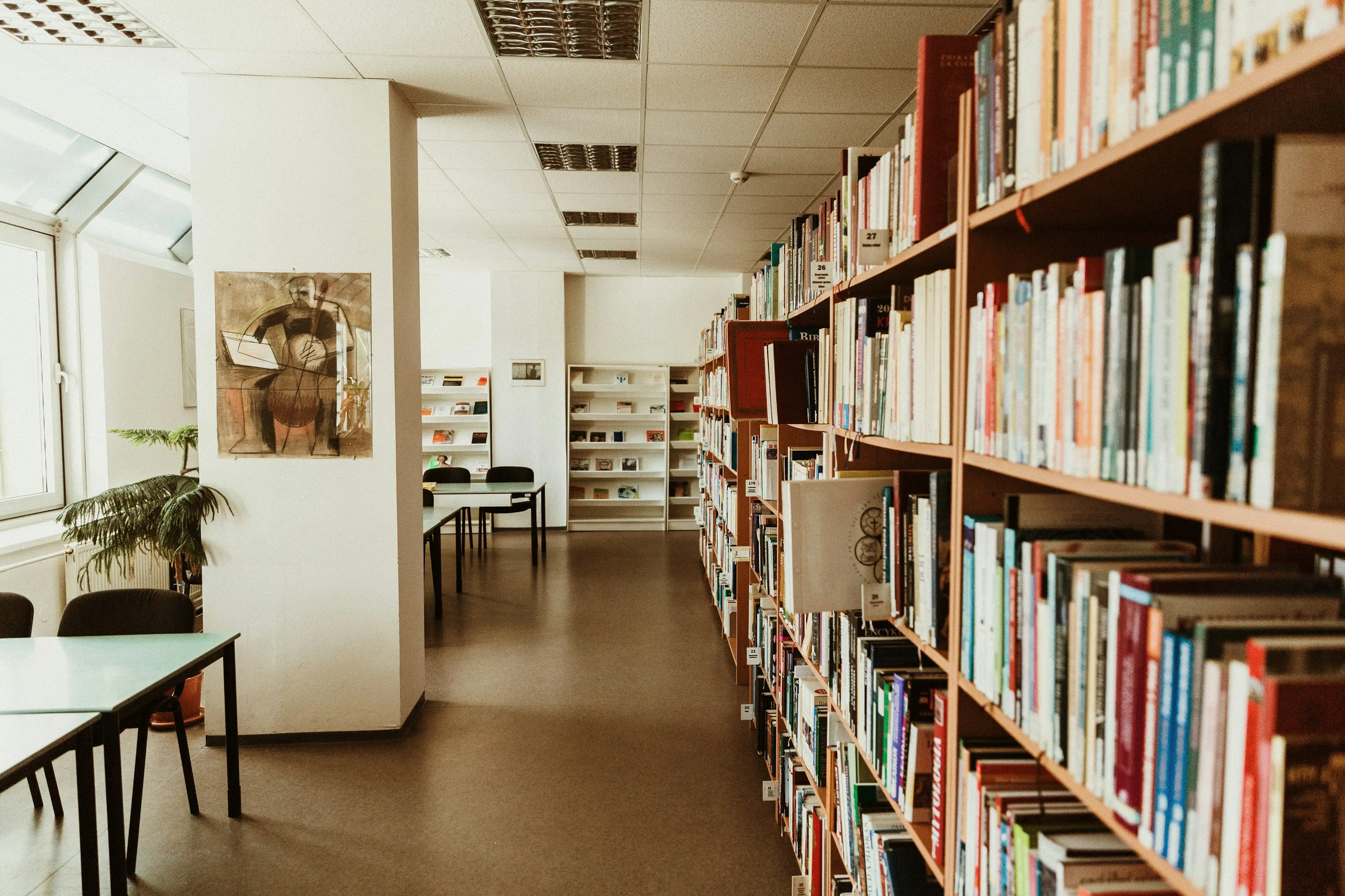 Image : Offrir un livre à Semisto
