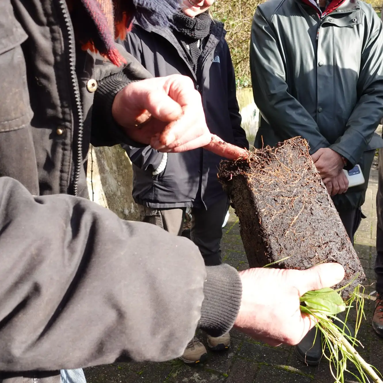Apprendre à sélectionner ses plants