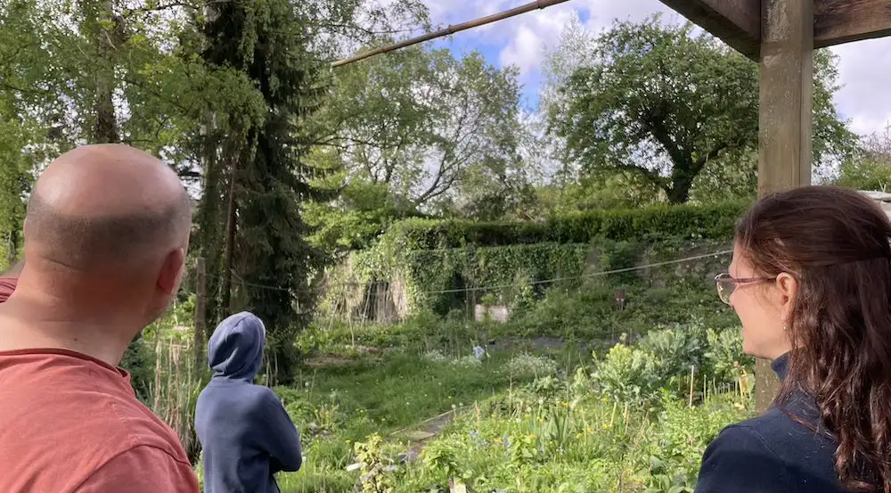 Session de coaching dans un jardin-forêt en devenir