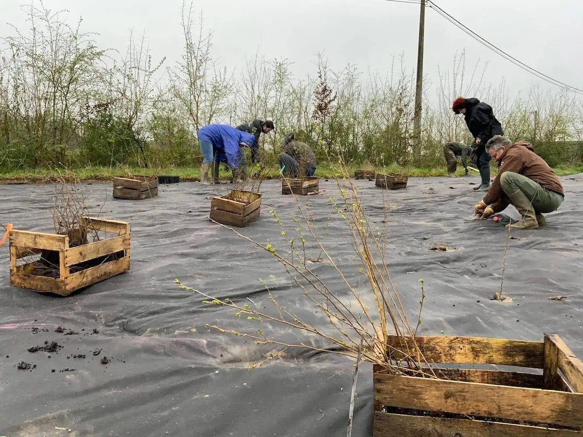 Les Food Forest Heroes en plein chantier de plantation