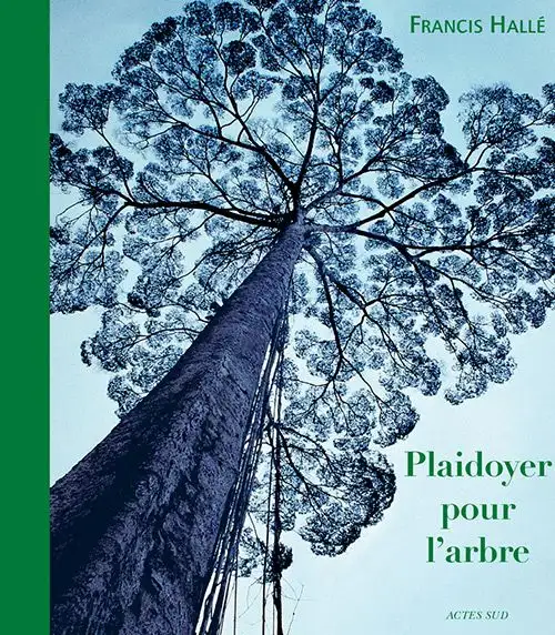 Plaidoyer pour l’arbre