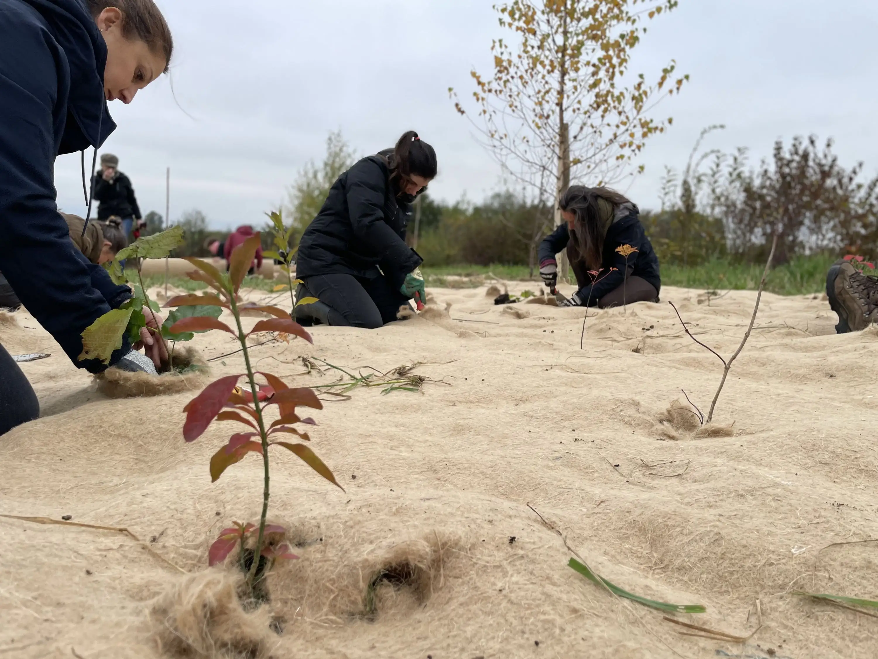 Impact environnemental entreprise