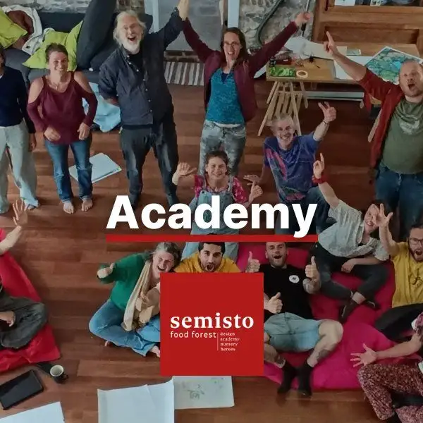 Semisto Academy