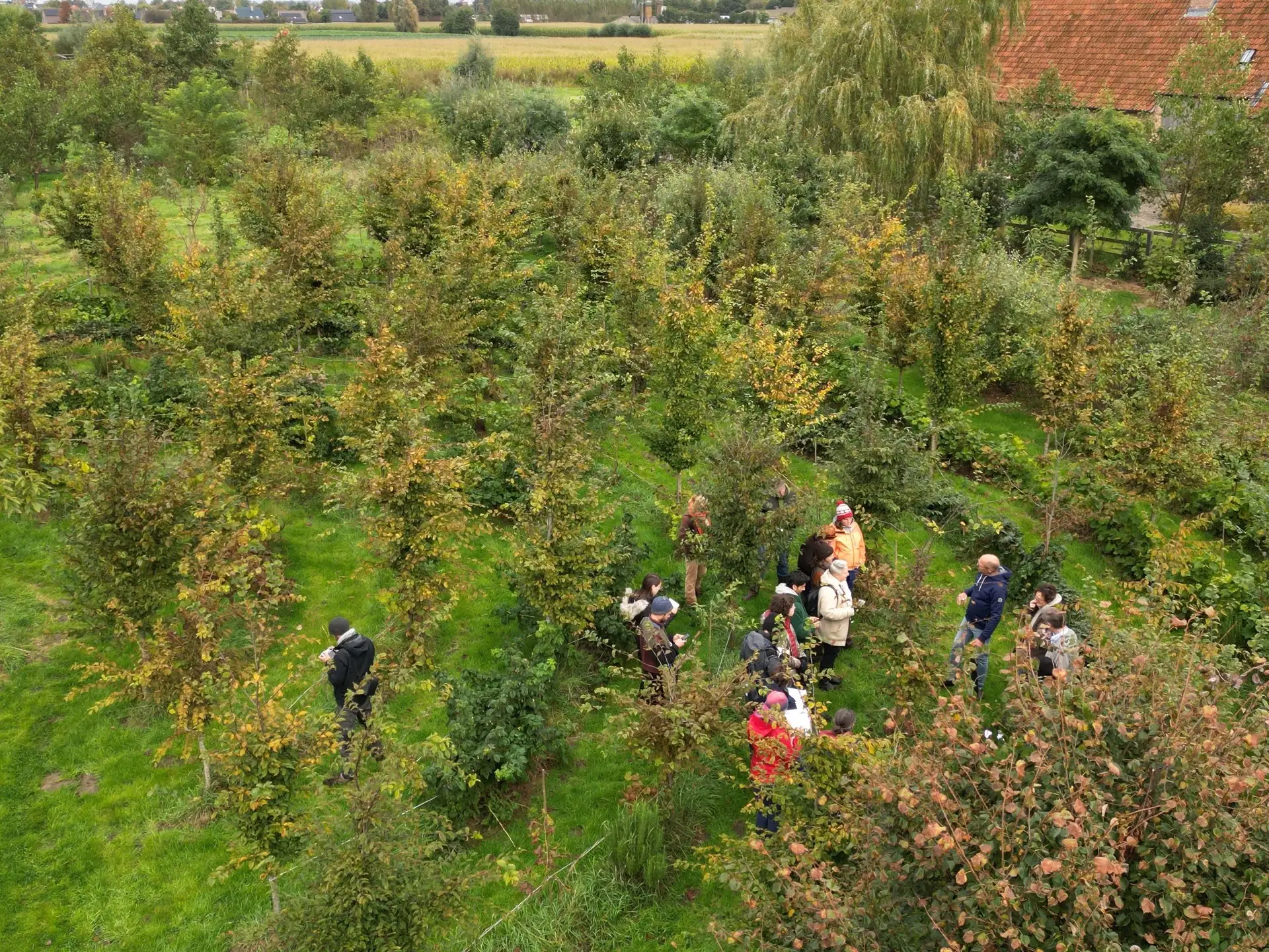 Plantation collective lors d'une journée de mécénat d'entreprise