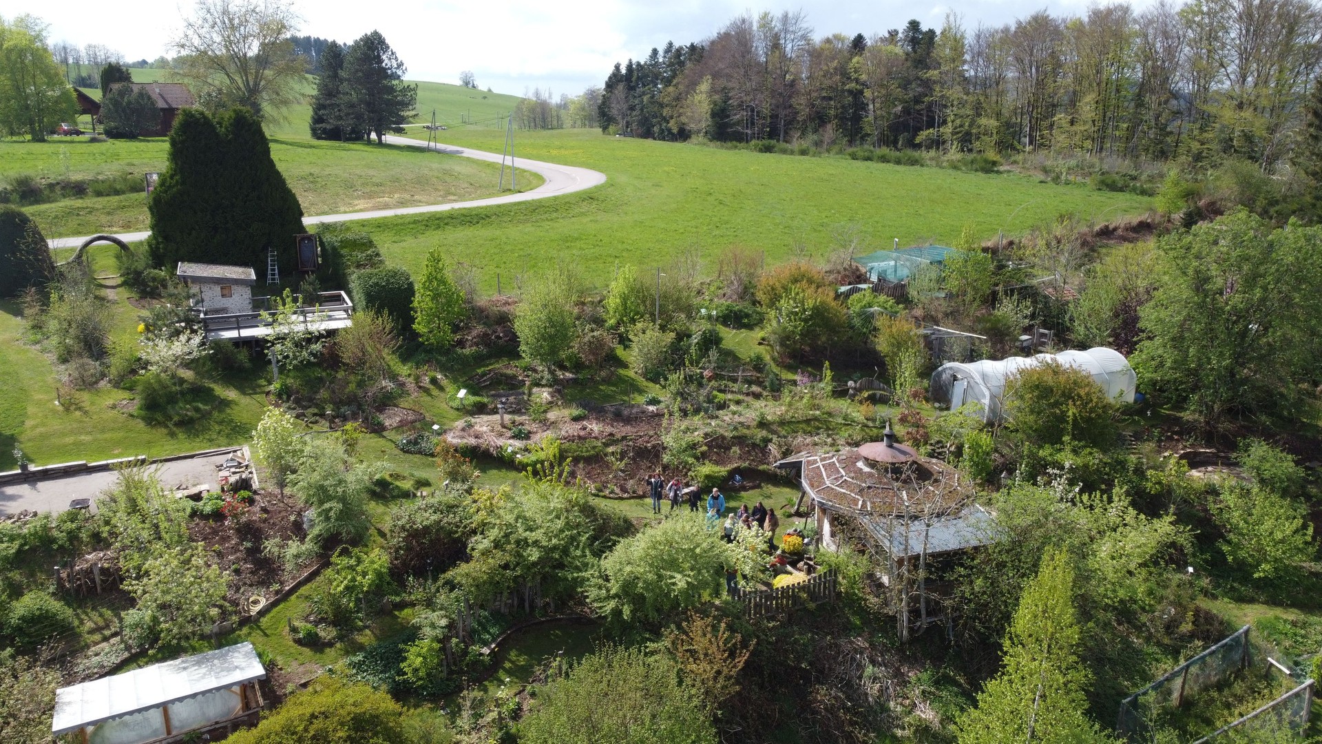 Illustration : Une Figue dans le Poirier : immersion dans un design de jardin-forêt exigeant et inspirant