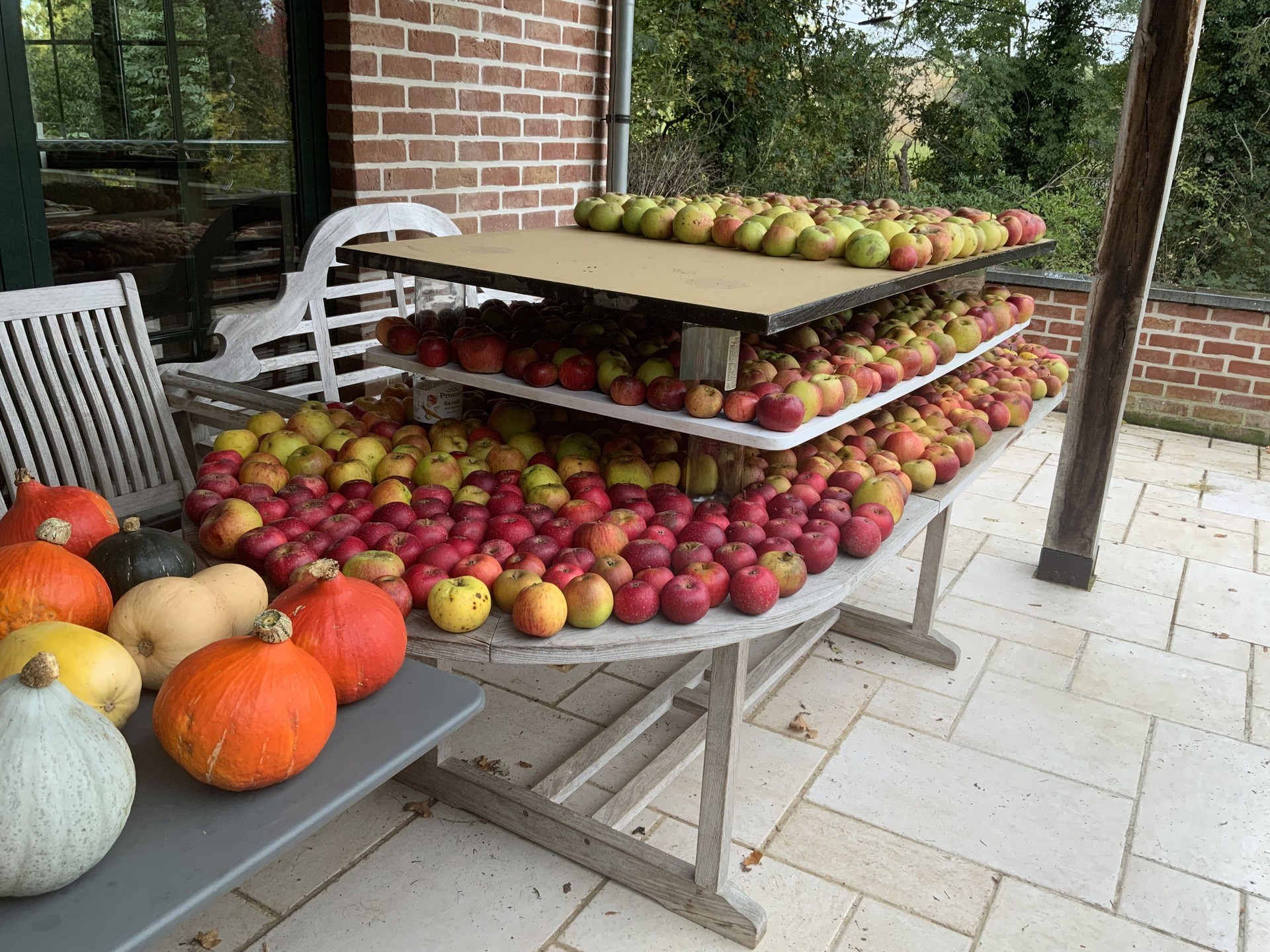 Le sentier comestible de Manu — photo 9