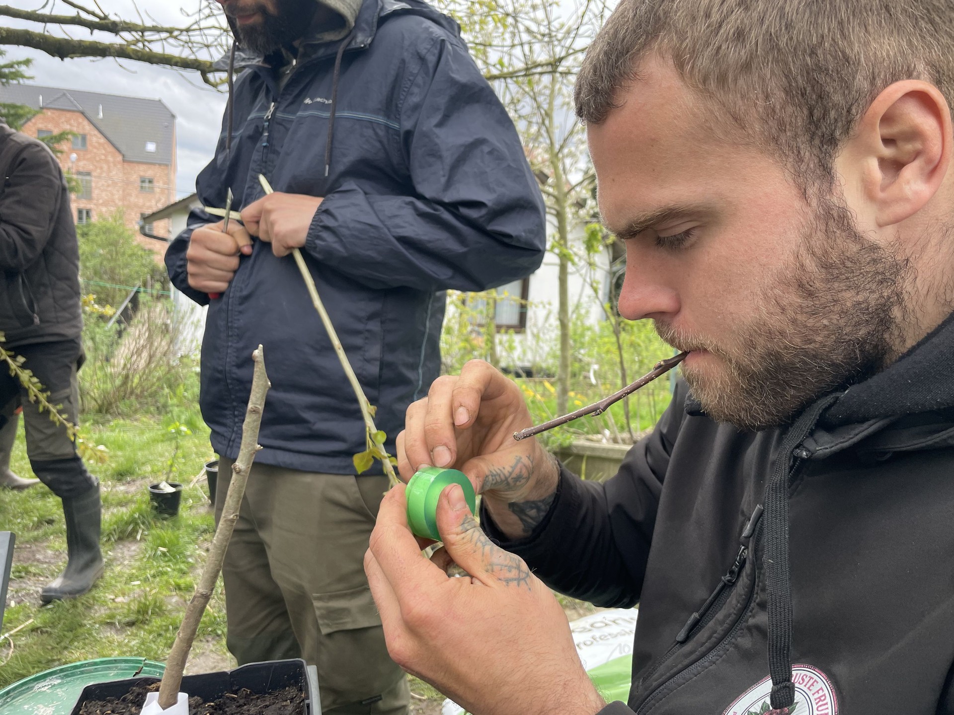 Image : Formation à la greffe et visite d'un jardin-forêt exceptionnel