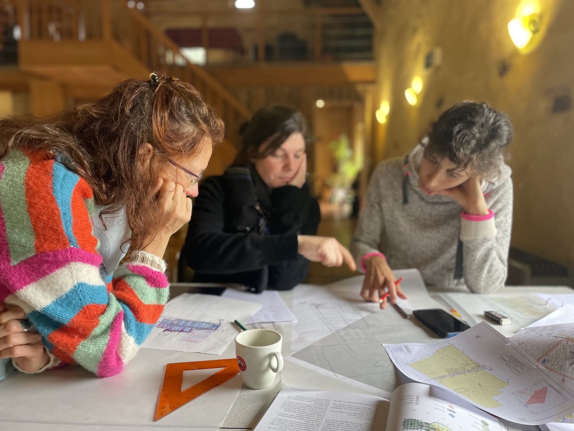 Image : Focus sur ton projet de jardin-forêt (novembre 2025)