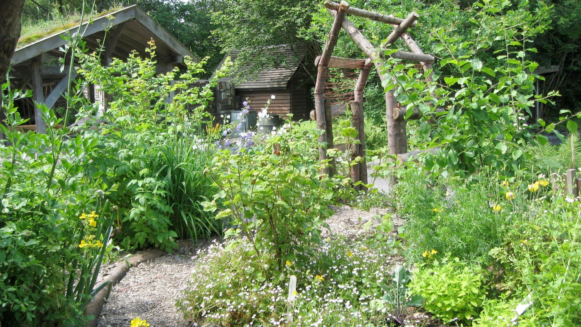 Image : À la découverte des jardins-forêts