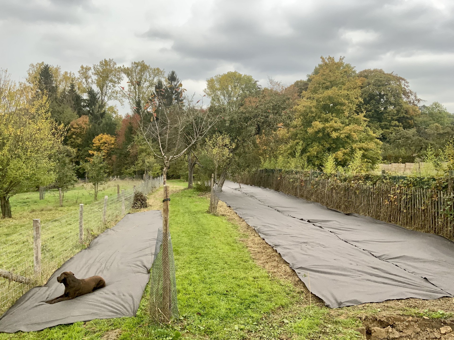 Le sentier comestible de Manu — photo 1