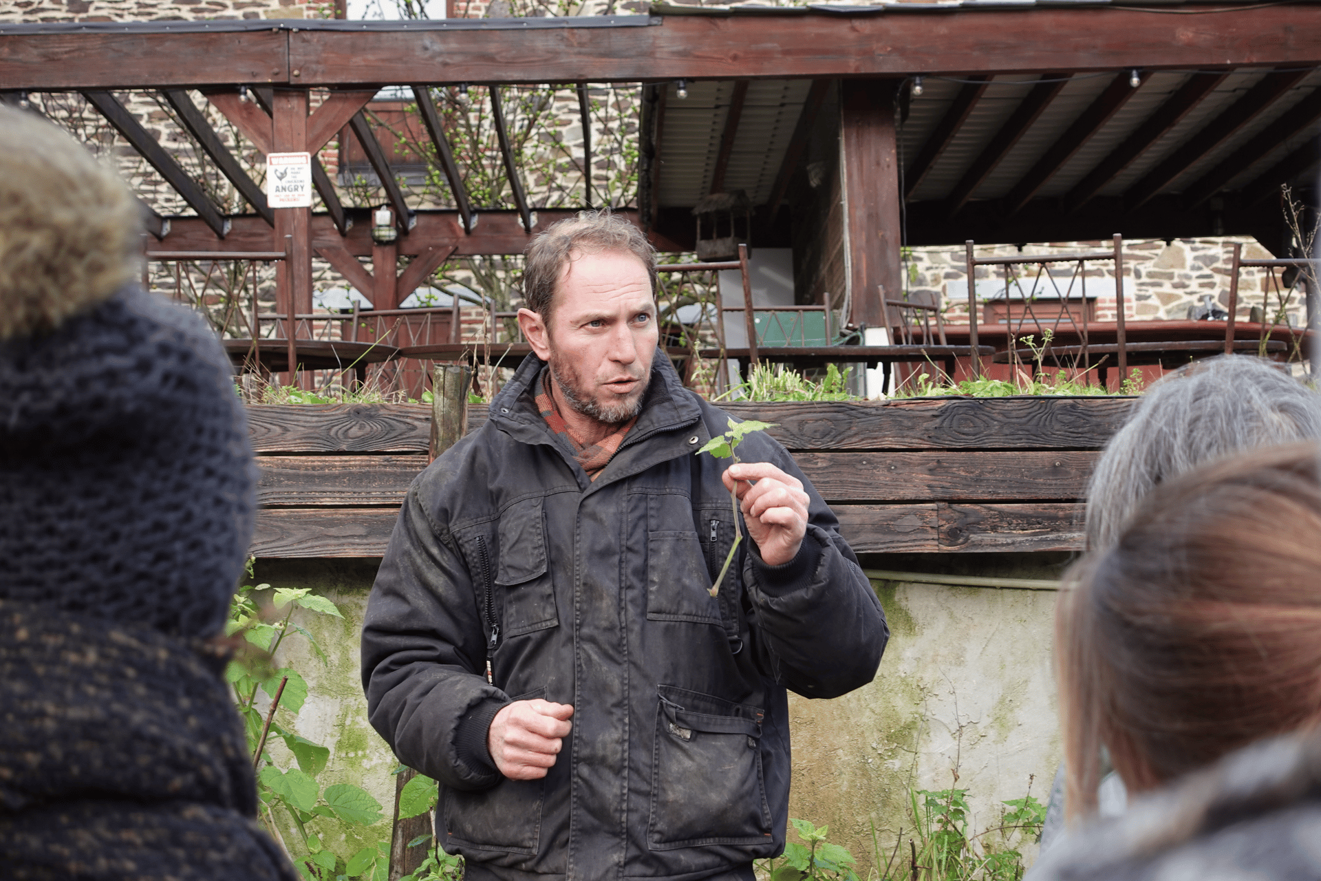 Image : Taille d'arbres et arbustes fruitiers avec Michael Dossin