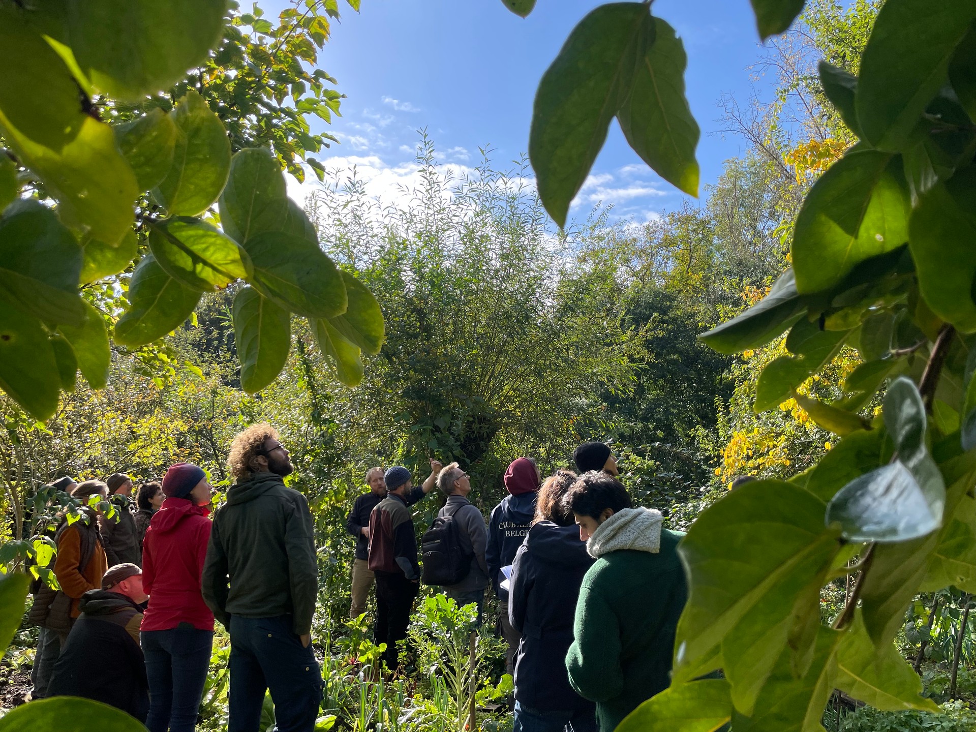 Illustration : Journée découverte pour les pros : le jardin-forêt, jardin du futur ?